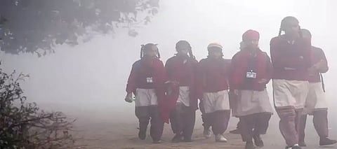 Punjab weather update: Dry conditions expected on January 13-14, rain likely to hit on THIS da