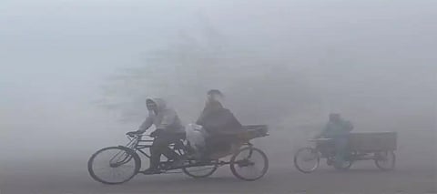 Why do Punjab sometimes witness cooler winters than popular hill stations includin Shimla? Explained