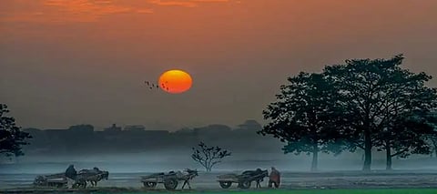 Punjab Weather, Punjab Winter< Punjab Winter Today, Punjab Daytime temperature, Punjab Warm Daytime Temperature, Punjab Warm Days Winter, Punjab Warm Days Cold Nights Reason