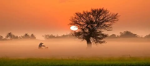 Punjab Winters, Punjab Winter Warmer Days Cooler Nights, Punjab Warner Days January, Punjab January Winters, Why Punjab witnessing hotter January