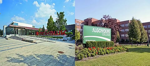 Canada cuts study visas by 40%, Punjabi-favoured colleges shut courses & lay off staff