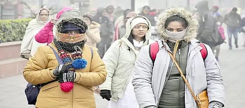 Punjab Weather, Punjab Winter, Punjab Winter Comeback, Punjab Warm Cold Weather, Punjab February Rainfall, Punjab February Rain Prediction, Punjab Western Disturbance