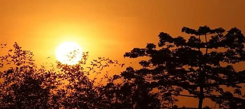 Punjab weather update: Clear skies efor 5 days, 8 districts cross 25°C, western disturbance to hit on THIS date