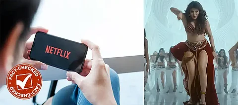 Daaku Maharaaj, Daaku Maharaaj Urvashi Rautela, Netflix removes Urvashi Rautela Daaku Maharaaj, Urvashi Rautela Netflix, Urvashi Rautela Daaku Maharaaj Fact Check