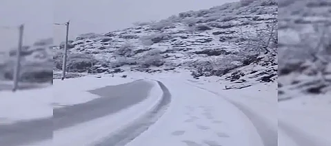 42 workers trapped in Uttarakhand avalanche, massive rescue operations underway