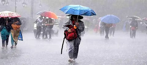 Punjab Weather, Punjab Rainfall, Punjab Rainfall Prediction, Punjab Rainfall Today, Punjab Hailstorm