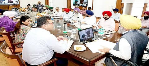 Khudian orders crackdown against sale of spurious cotton, unauthorized hybrid paddy seeds
