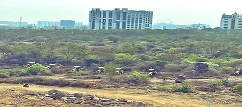Not a single tree': SC extends stay on deforestation near Hyderabad University