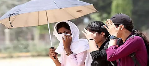 Punjab to witness sweltering heat for the next 3 days, warns IMD; temperature to soar up to..