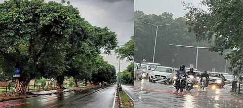 Punjab Monsoon, Punjab Monsoon 2025, Punjab Monsoon Update, Punjab Monsoon IMD, IMD Update Punjab Monsoon, Punjab Monsoon Dates 2025