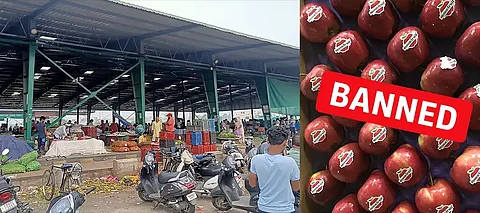 ‘Boycott pro-Pakistan Turkish market, says Jalandhar commission agents, vowing not to sell Turkish apples