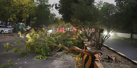 Jalandhar May 24 Thunderstorm Image