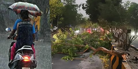 Punjab Thunderstorm, Punjab Thunderstorm News, Punjab Thunderstorm Prediction, Punjab Thunderstorm Reason, Why Punjab was hit by thunderstorm, Punjab Thunderstorm Prediction, Jalandhar Thunderstorm Reason