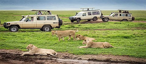 Maasai Mara: Know what this unique destination is where Ranbir Kapoor can’t resist taking Raha to