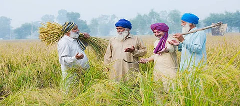 Punjab’s land and pooling policy: Know the major gains & protection for farmers under policy