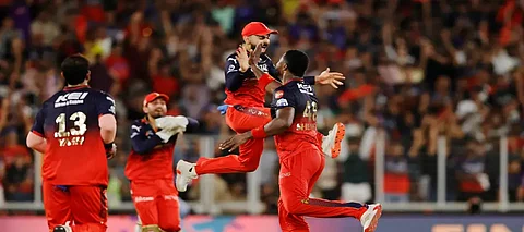 RCB wins IPL 2025 after 18 years of trophy drought, beats Punjab by 6 runs