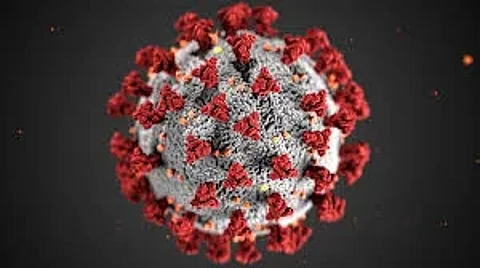 COVID-19 cases rise globally; Punjab issues safety advisory, asserts full preparedness
