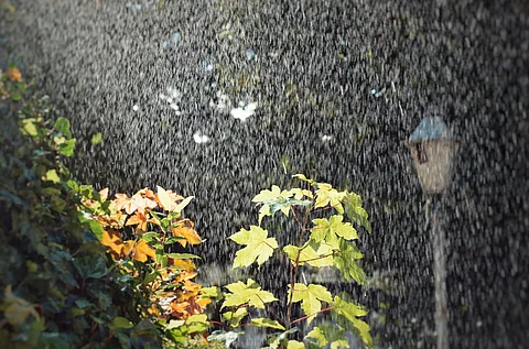 Jalandhar weather update: Light rain, thunderstorms, and humidity expected between June 18-25
