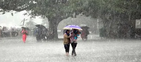 Punjab Rainfall Latest Prediction IMD