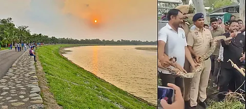 Amid record-breaking rainfall in Chandigarh, 12-foot Python rescued from Sukhna Lake trail