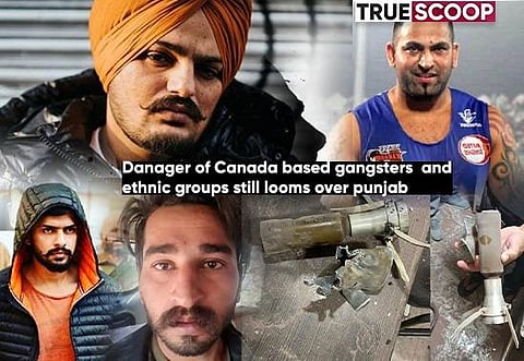 Explainer: Moosewala killing spreads fear in Punjab of Canada based gangsters, Sunawar Dhillon, Rinda & Goldie Brar