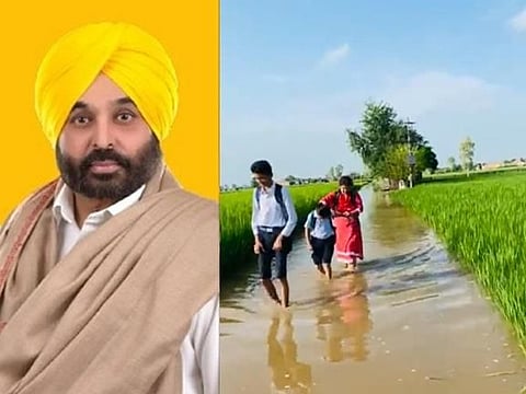 Sangrur: Man pleads for help from Punjab CM Bhagwant Mann as major land inundates in water; Watch Video