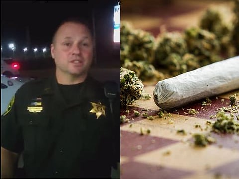 Michigan, USA: Livingston County officers allegedly caught harassing 'Black man' for 'the odor of marijuana'; Video Viral