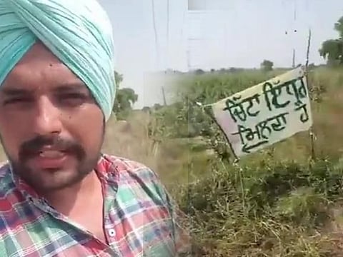 'Chitta on Sale': Drug peddlers in Bhatinda Village allegedly put signboard to sell drugs in bizarre viral video; Watch