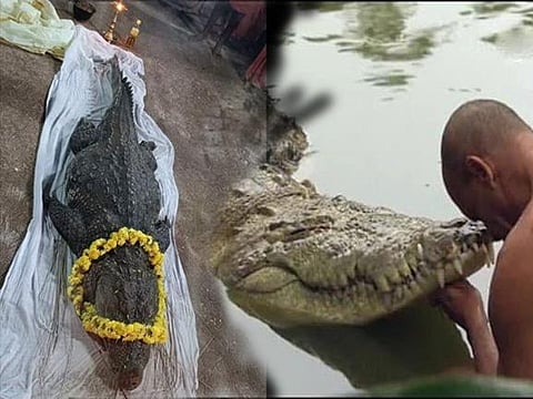 Kerala: Divine 'Vegetarian' crocodile Babiya of Ananthpuram lake temple unmissable facts that you must know