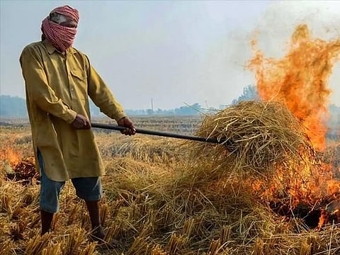Punjab: Farmers involved in stubble burning to not get arms license & passport verification, announces Kapurthala DC