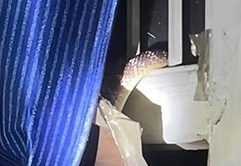 Snake Invades Police Station 8 in Jalandhar at 2:30 AM, Prompting Chaos and Heroic Stick-Wielding Officers!