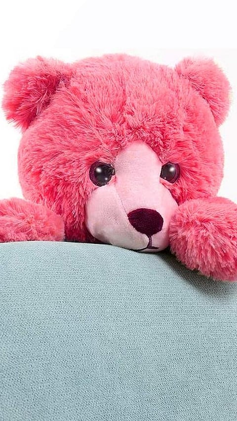 Teddy Day 2023: Different coloured teddies and what they denote