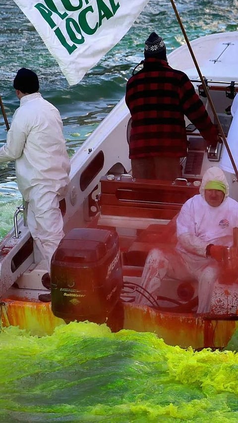 Why Chicago turned its iconic river GREEN on St. Patrick's Day 2023