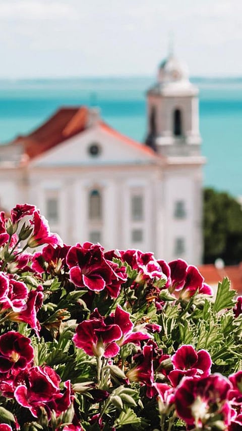 Top 9 best countries to visit during spring