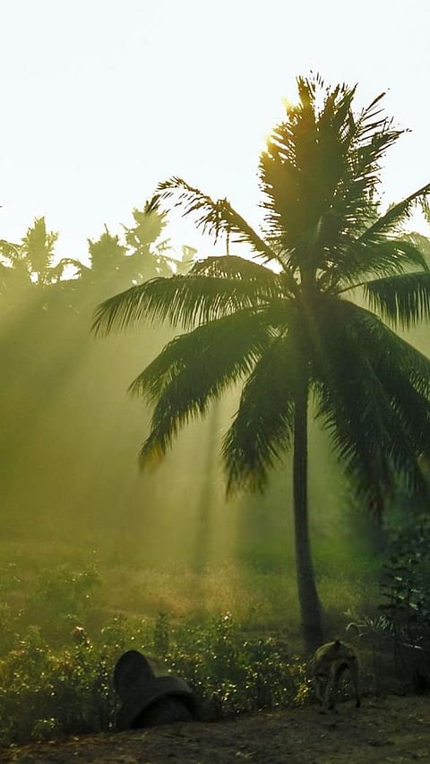 Top 9 most dangerous states in India