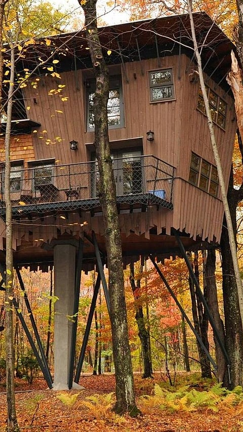 Top 7 most beautiful tree house hotels in the world