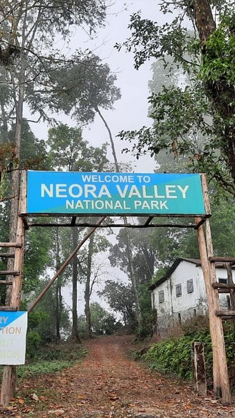 9 Most beautiful tourist attractions of West Bengal