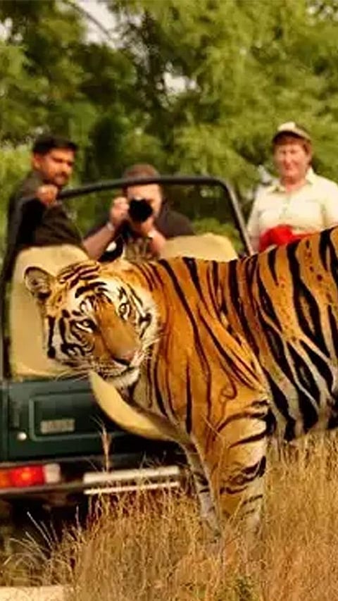 9 Short Trips to enjoy with Nature in Karnataka