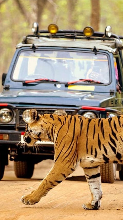 9 most beautiful tourist places of Bihar