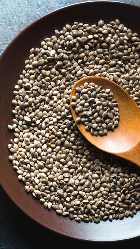 9 Vegetarian Foods to Eat to Increase Muscle Mass