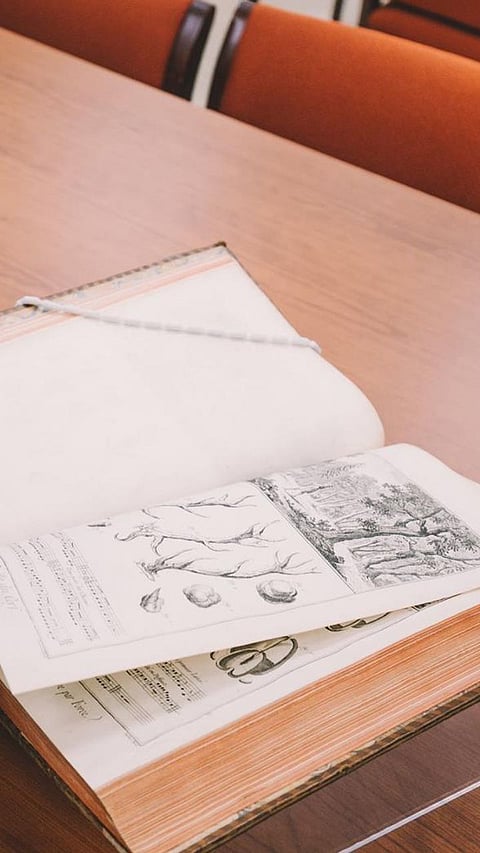 8 Best Summer courses offered by Harvard