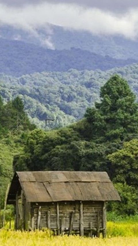 9 beautiful places of Ziro one must visit this summer