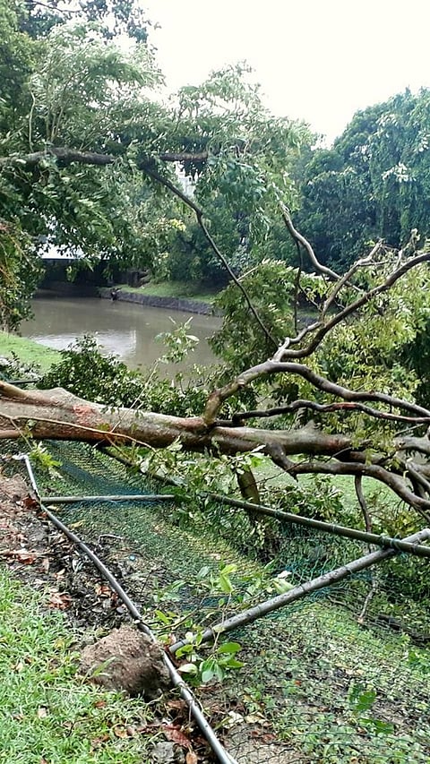 India’s Top Five Most Dangerous Cyclones in Recent Decades