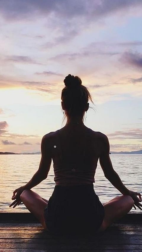 The Ivy League Experience: 8 The Ivy League Experience