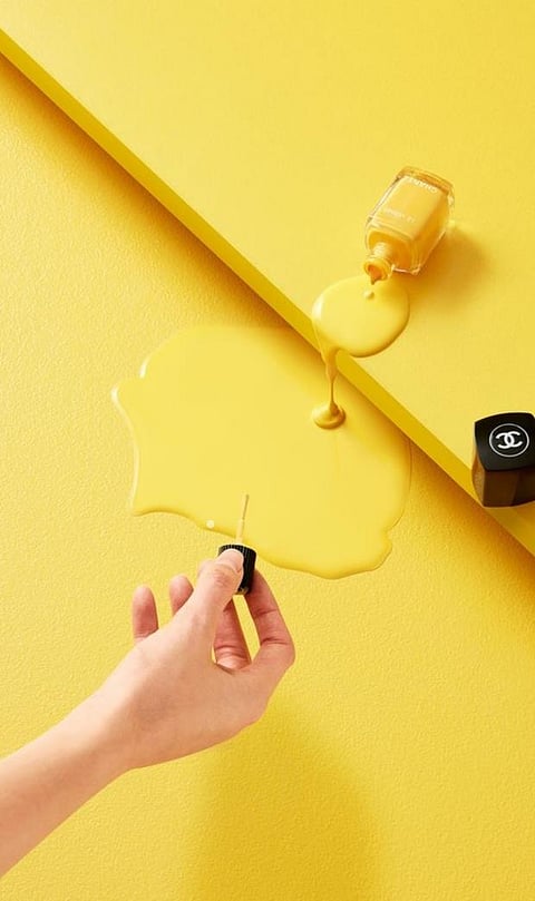 Top 9 Most Trusted Makeup Brands