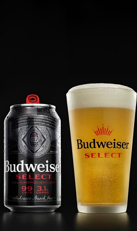 Top 9 Affordable Beer In India 2023