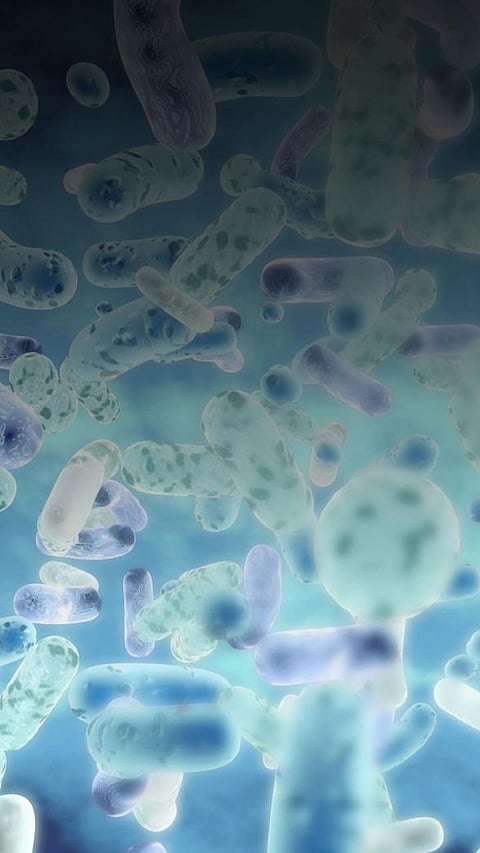 9 Forms of Probiotics that are great for your health