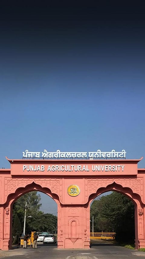 Best Government Colleges in India Offering Affordable Education