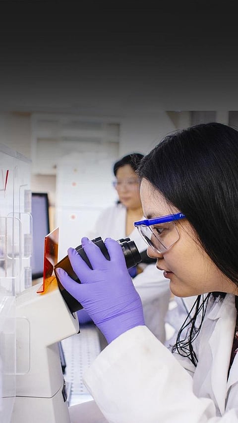 The 9 Best Colleges for Biomedical Engineering