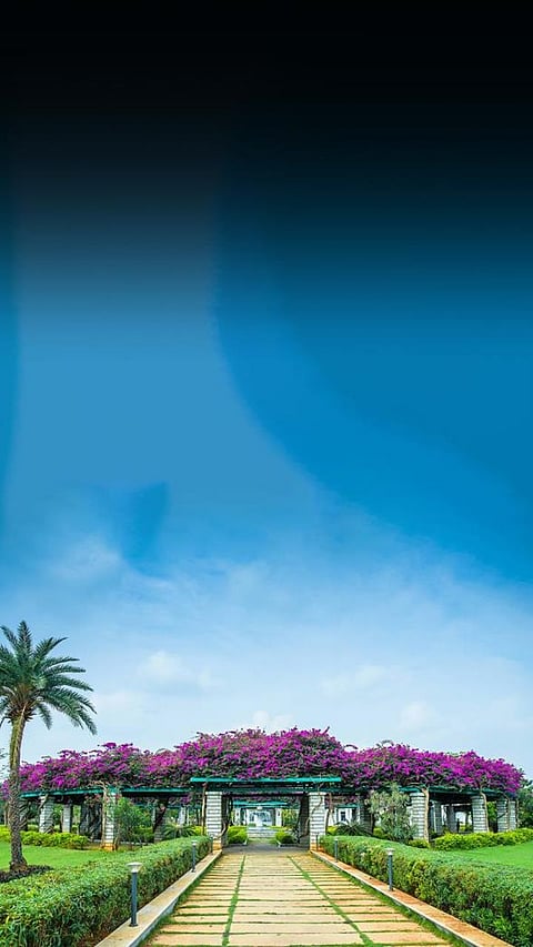 Chennai’s Top 9 Colleges for Computer Science and IT Placements: Producing Skilled Graduates